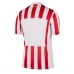 Atletico Madrid Hemmatröja 2025-26 Kortärmad